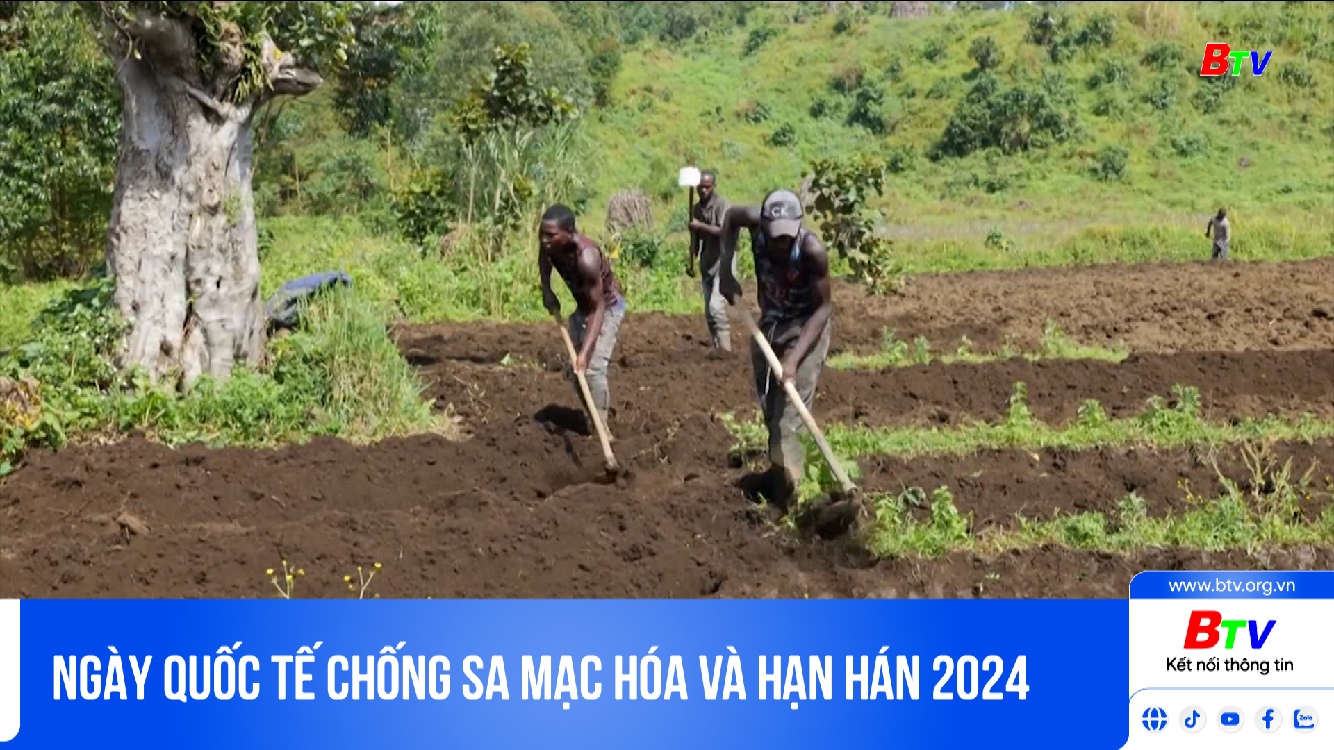 Ngày Quốc tế chống sa mạc hóa và hạn hán 2024